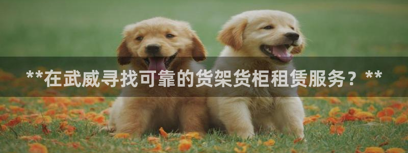 杏运汽车招商