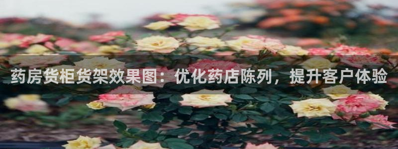 杏运平台招商