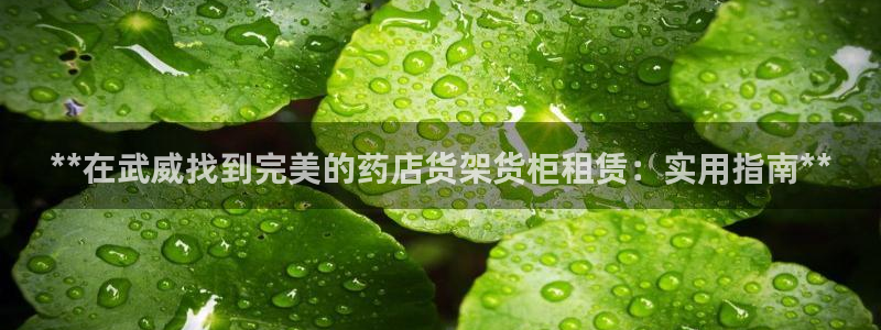 杏运相伴