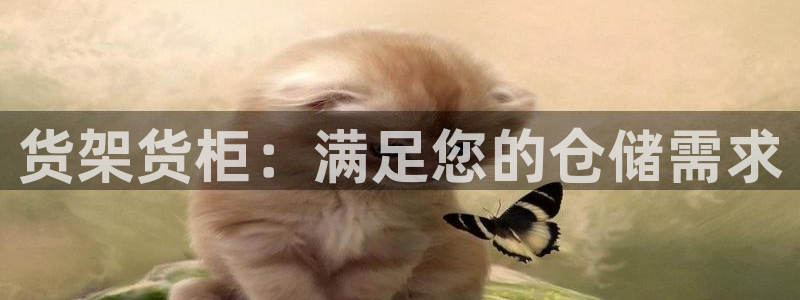 杏运体育平台正规吗安全吗可信吗
