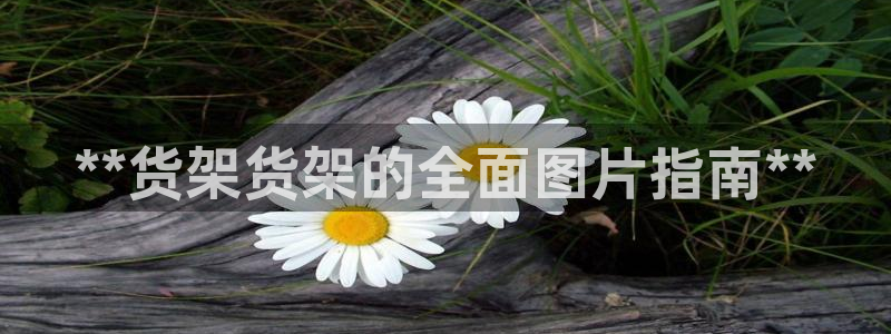 杏运汽车