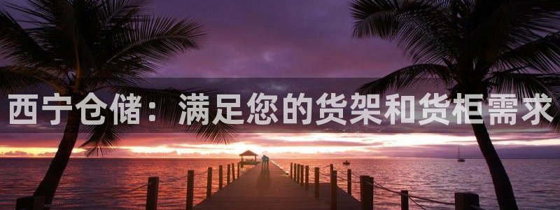 杏运汽车招商