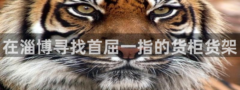 杏运体育官方网址登录