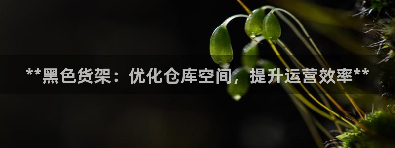 杏运汽车