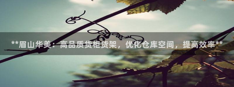 杏运相伴