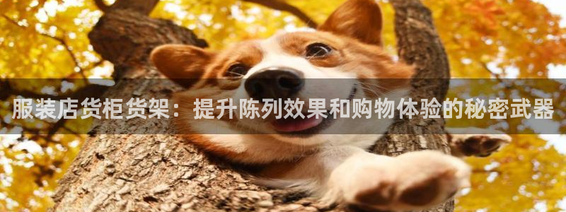 杏运娱乐平台注册地址在哪里