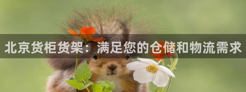 杏运体育