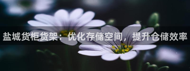 杏运注册登录地址