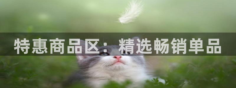 杏运注册登录地址