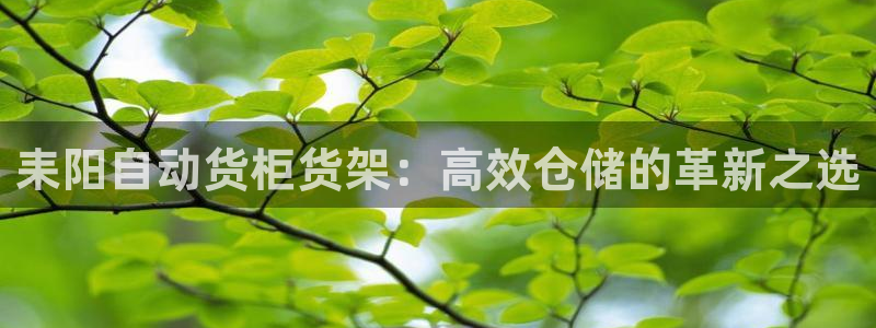 杏运体育平台正规吗安全吗：耒阳自动货柜货