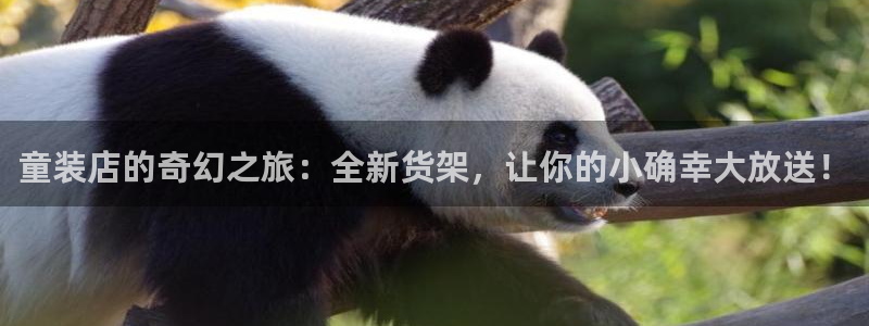 杏运体育不给出款