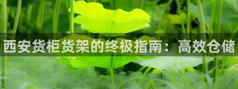 杏运平台招商