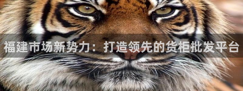杏运体育官方网址登录