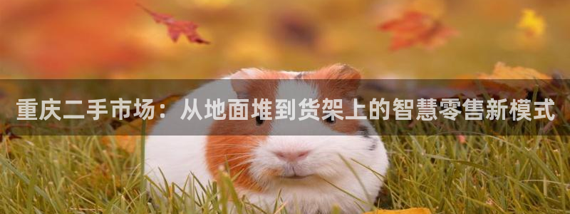 杏运体育平台正规吗安全吗可信吗：重庆二手