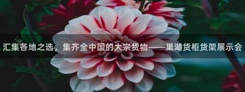 杏运平台招商