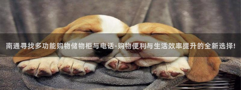 杏运体育娱乐