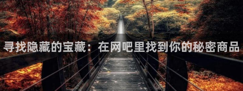 杏运娱乐：寻找隐藏的宝藏：在网吧里找到你