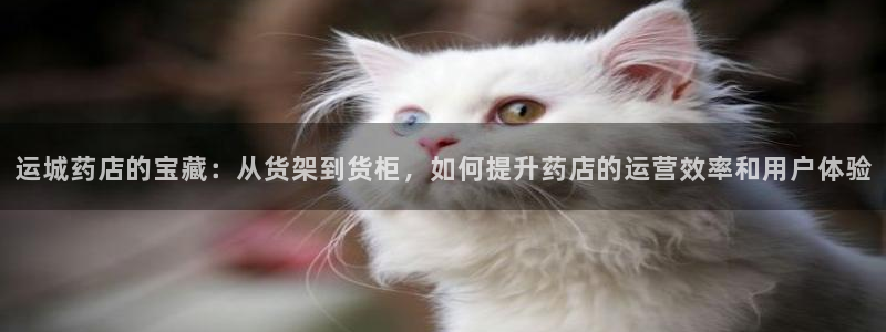 杏运体育官方网址登录：运城药店的宝藏：从