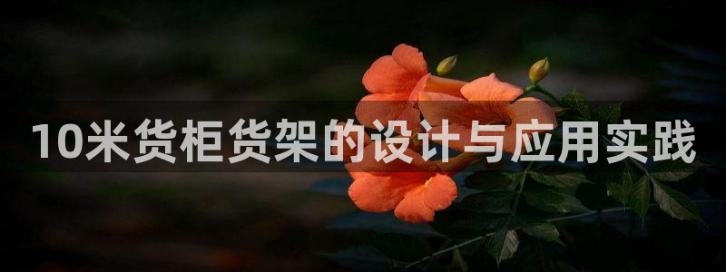 杏运体育官方网址：10米货柜货架的设计与