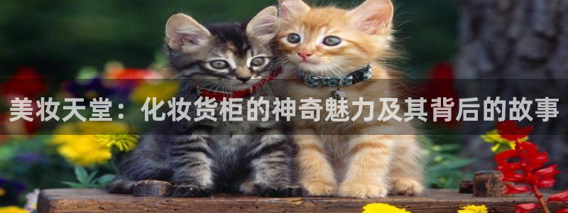 杏运体育app下载安装