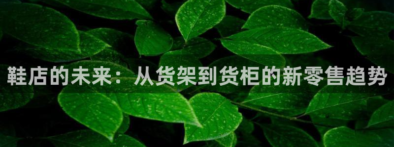 杏运体育登录：鞋店的未来：从货架到货柜的
