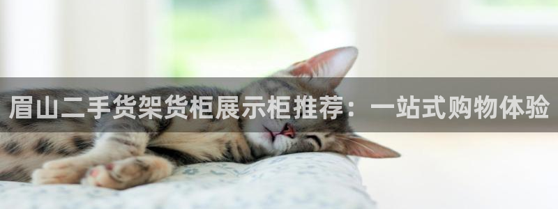 杏运平台招商：眉山二手货架货柜展示柜推荐