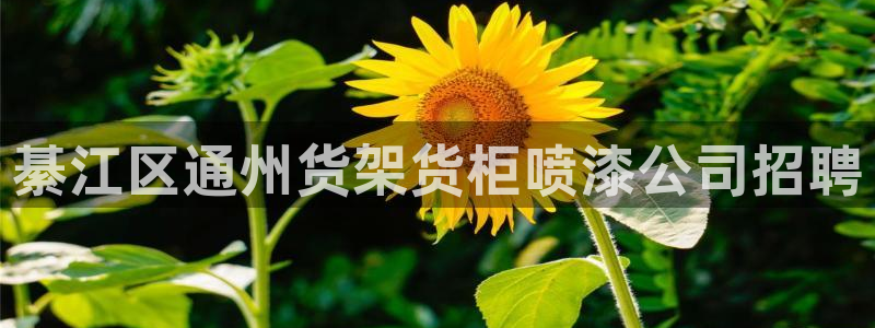 杏运体育官方网址登录