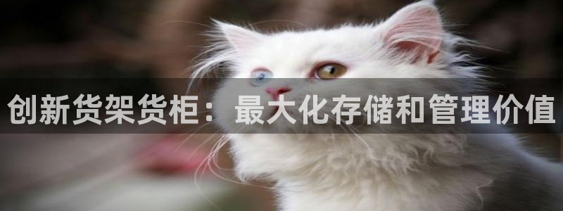 杏运体育平台正规吗安全吗可信吗：创新货架