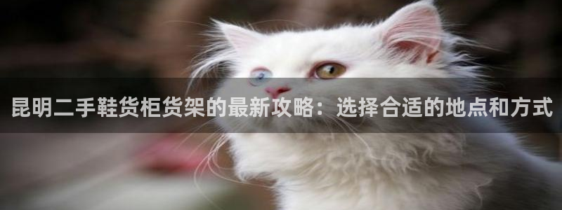 杏运体育官方网址