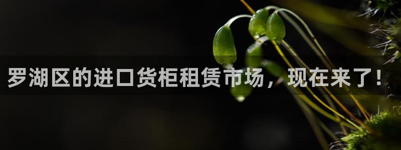 杏运注册账号：罗湖区的进口货柜租赁市场，