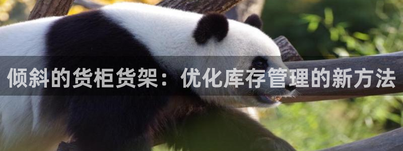 杏运注册登录地址：倾斜的货柜货架：优化库