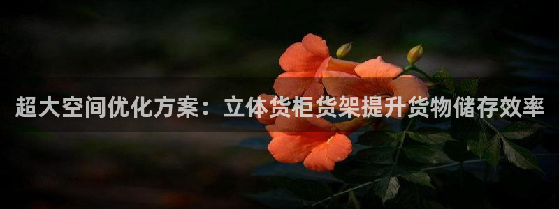 杏运体育平台正规吗安全吗可信吗：超大空间