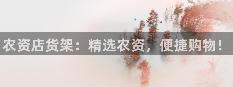 杏运体育app下载安装手机版：农资店货架