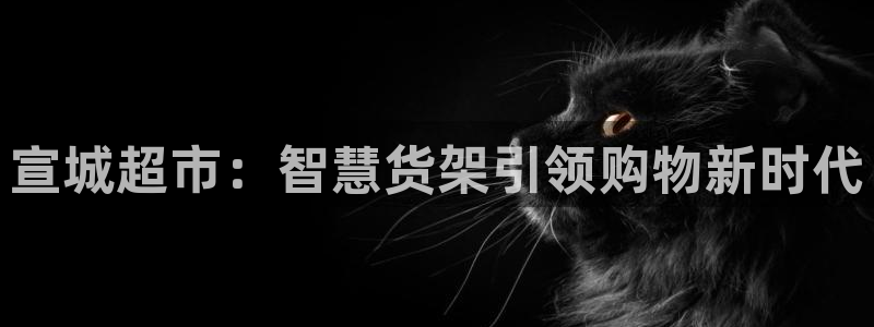 杏运娱乐官网：宣城超市：智慧货架引领购物