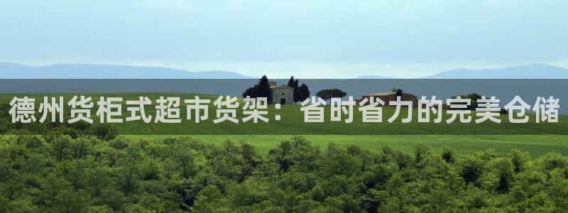 杏运平台招商：德州货柜式超市货架：省时省
