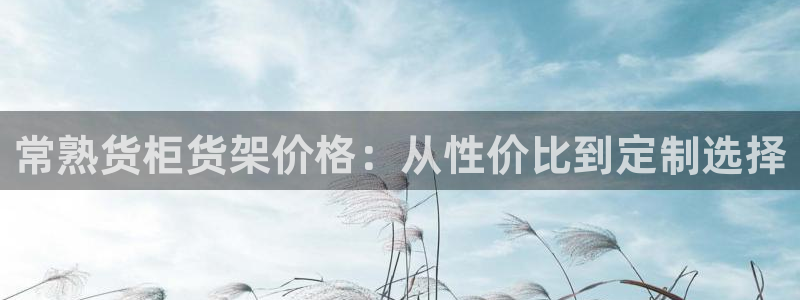 杏运相伴：常熟货柜货架价格：从性价比到定