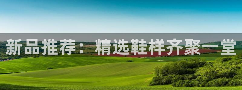 杏运汽车招商