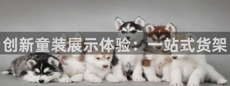 杏运娱乐怎么样