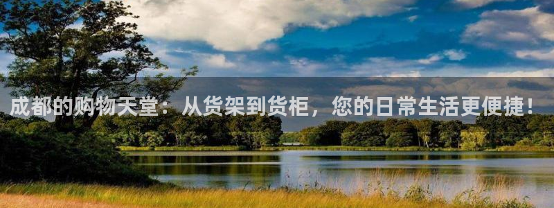 杏运娱乐官网：成都的购物天堂：从货架到货