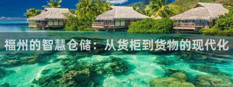 杏运相伴：福州的智慧仓储：从货柜到货物的