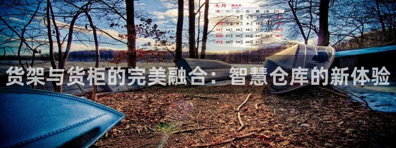 杏运平台注册：货架与货柜的完美融合：智慧