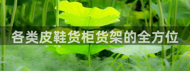 杏运体育官方网址登录：各类皮鞋货柜货架的