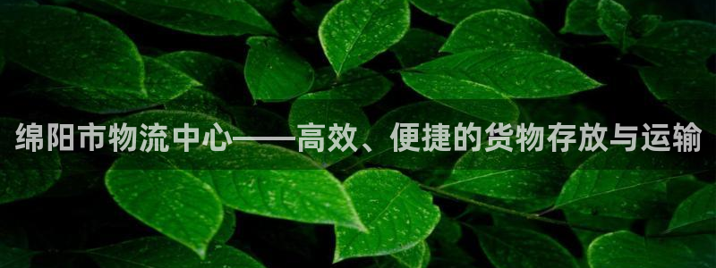 杏运体育：绵阳市物流中心——高效、便捷的