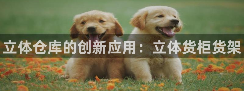 杏运娱乐官网：立体仓库的创新应用：立体货